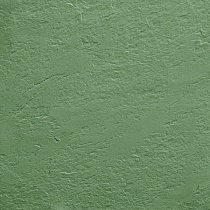 60х60х10,5 Monocolor CF 007 SR зелёный структурная