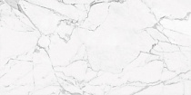 60х120 Marble Trend Carrara K-1000/MR матовый